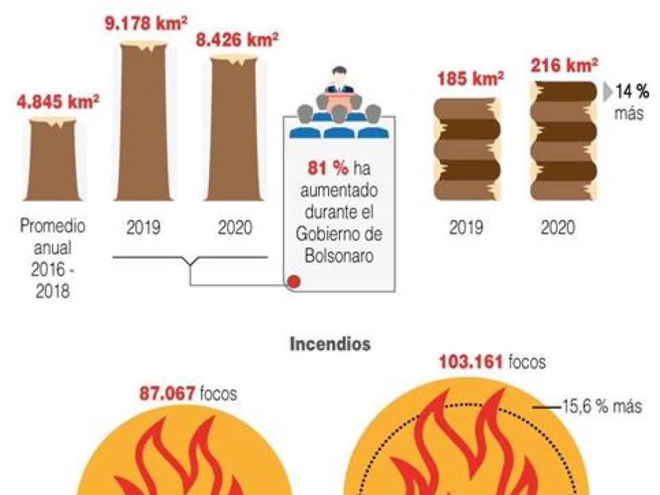 Infografía Amazonía 