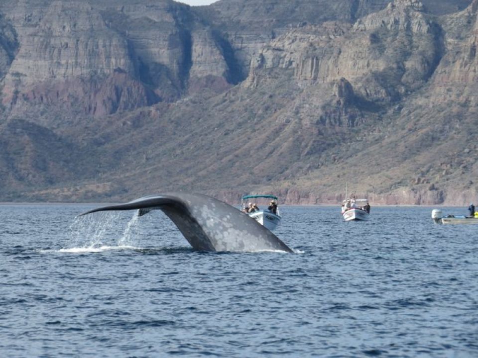 Parque Nacional Bahía de Loreto