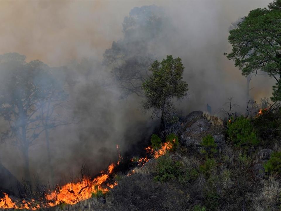 incendio forestal en Tepoztlán