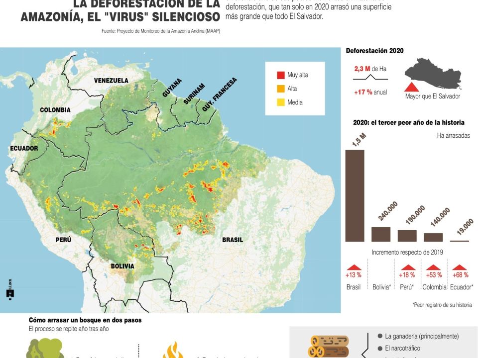 Infografía. Deforestación en Amazonía