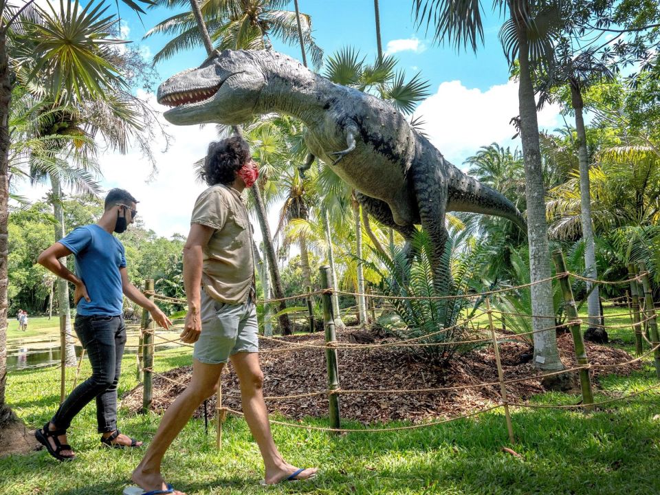 Jardín Botánico Fairchild de Miami-Dade