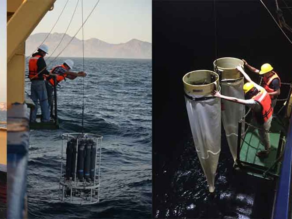 Golfo de California por calentamiento del océano