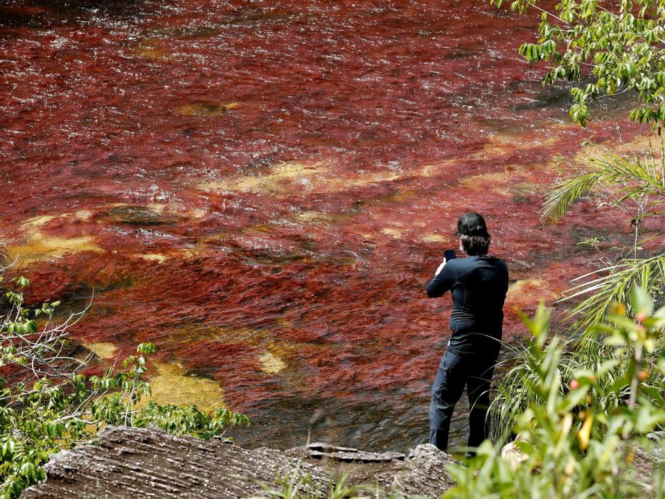 Caño Cristales