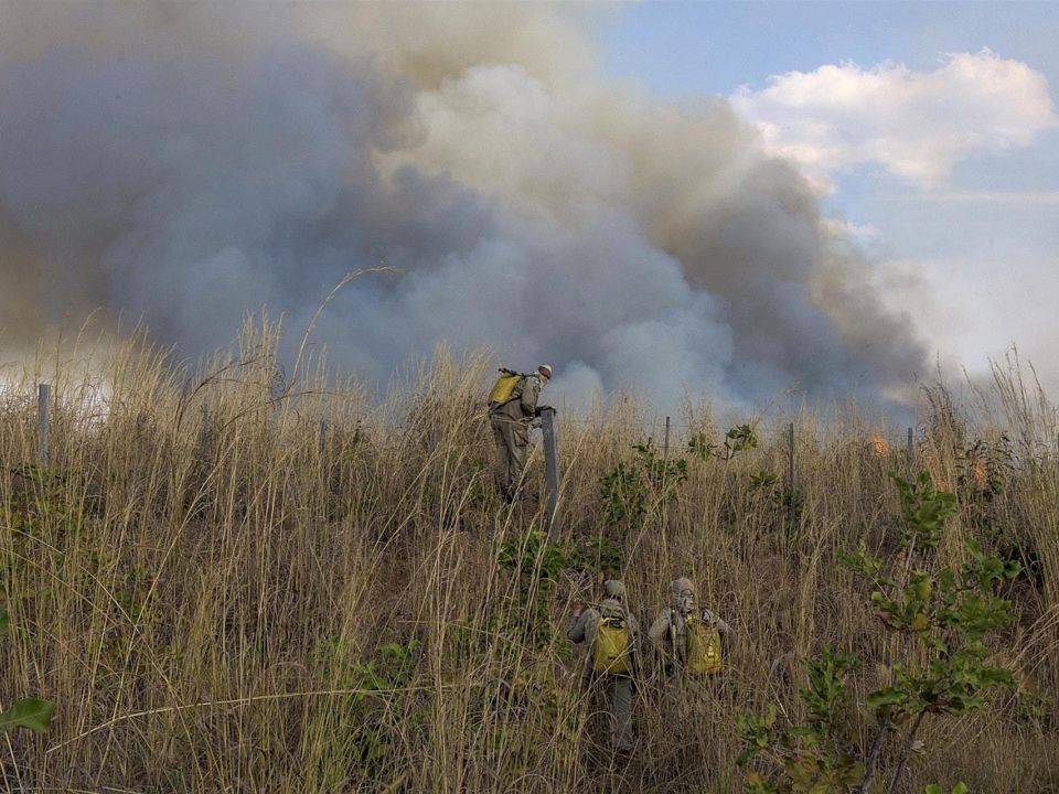 Incendio en la Amazonía