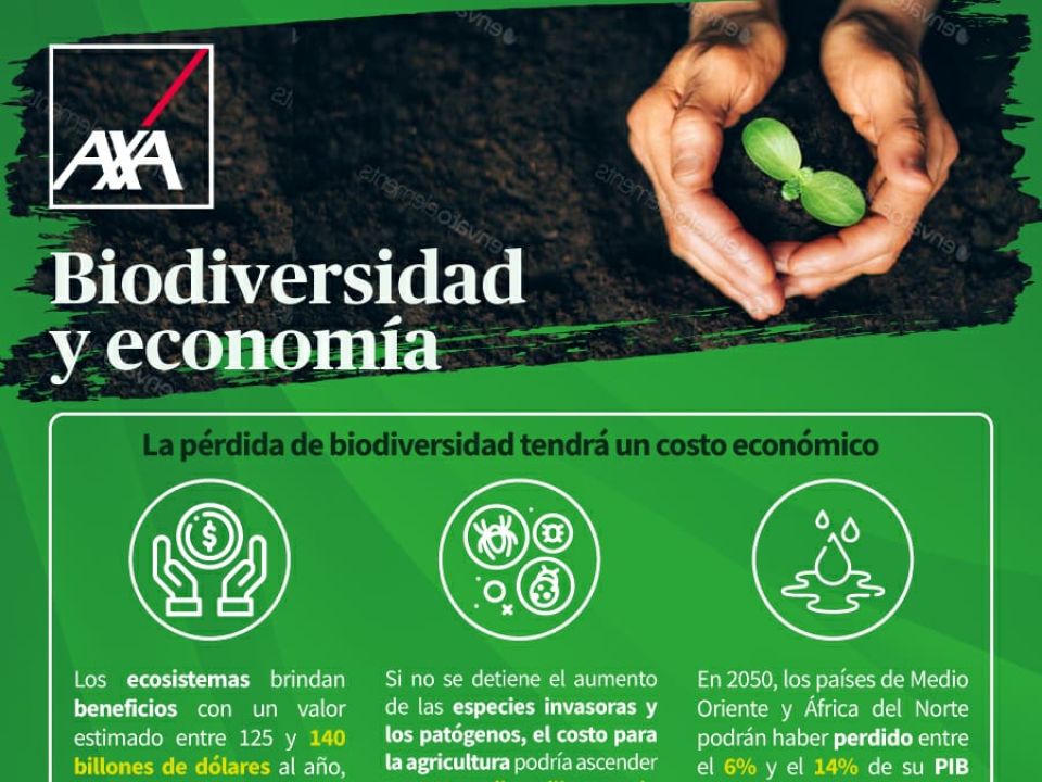 Infografía Economía y Biodiversidad