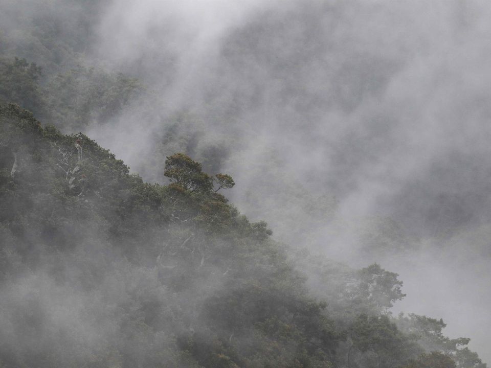 Parque Volcán Irazú