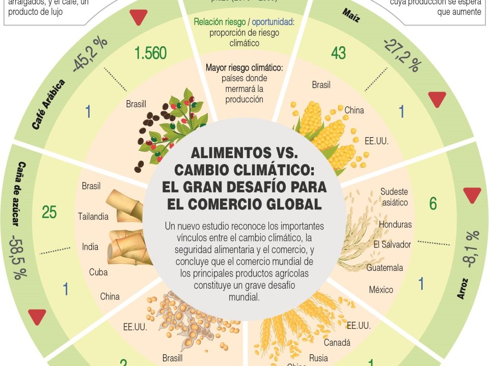 Infografía: Alimentos y cambio  climático