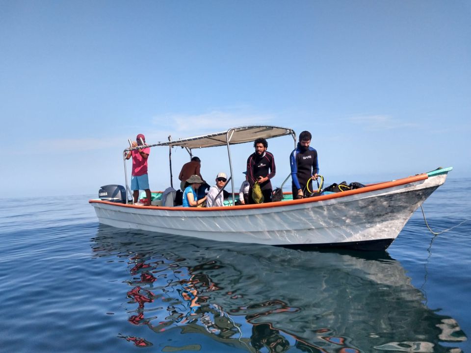 Redes de pesca