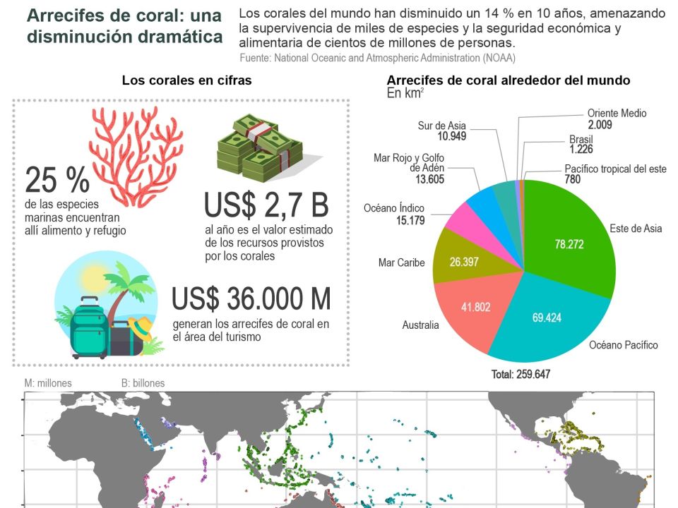 Infografía corales