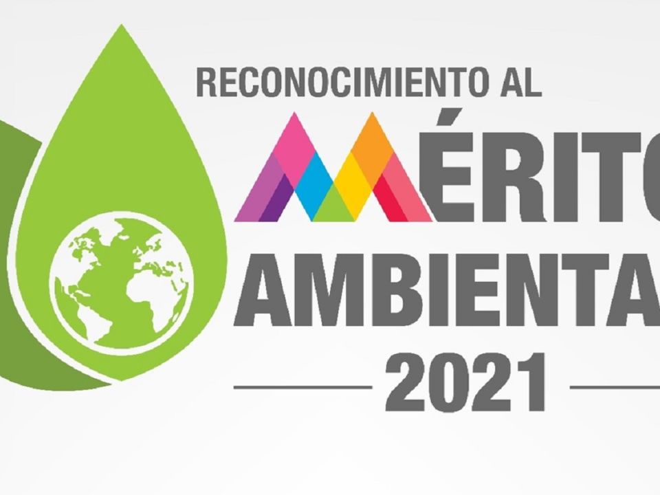 Mérito ambiental