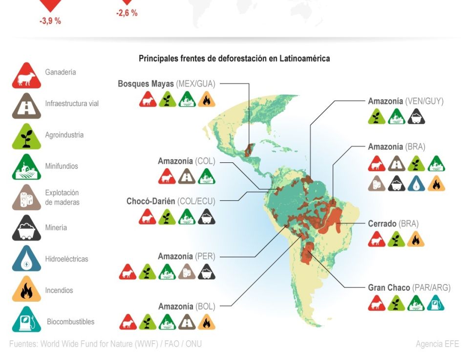 Infografía COP26 deforestación