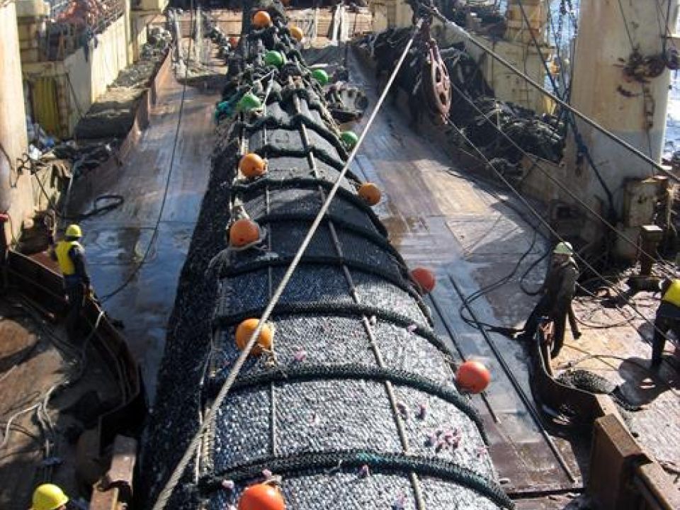 Barco pesquero