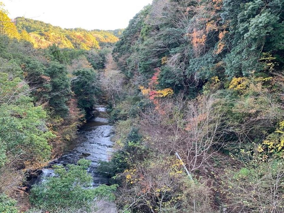 Bosque de Kameyama