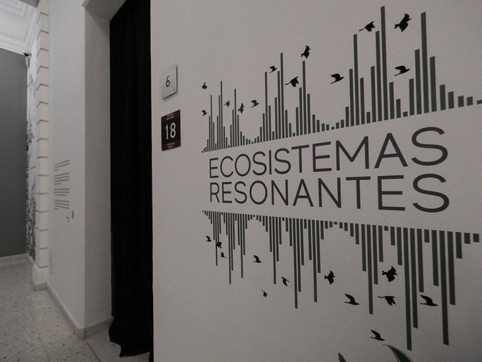 Ecositemas resonantes