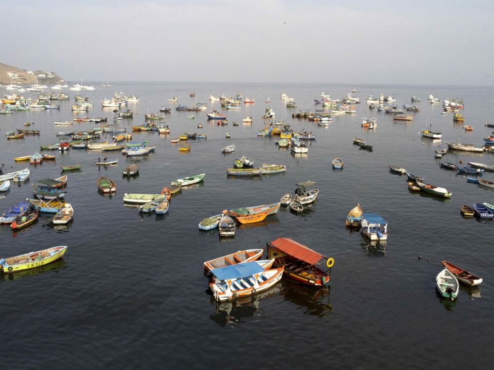 Barcos pescadores