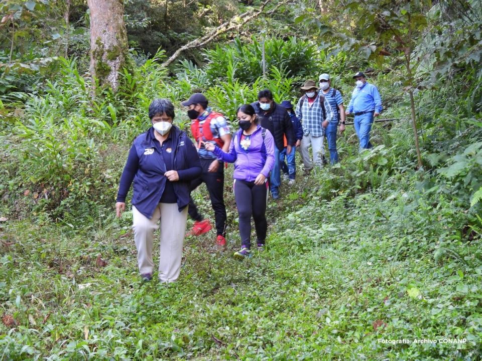 Educación ambiental