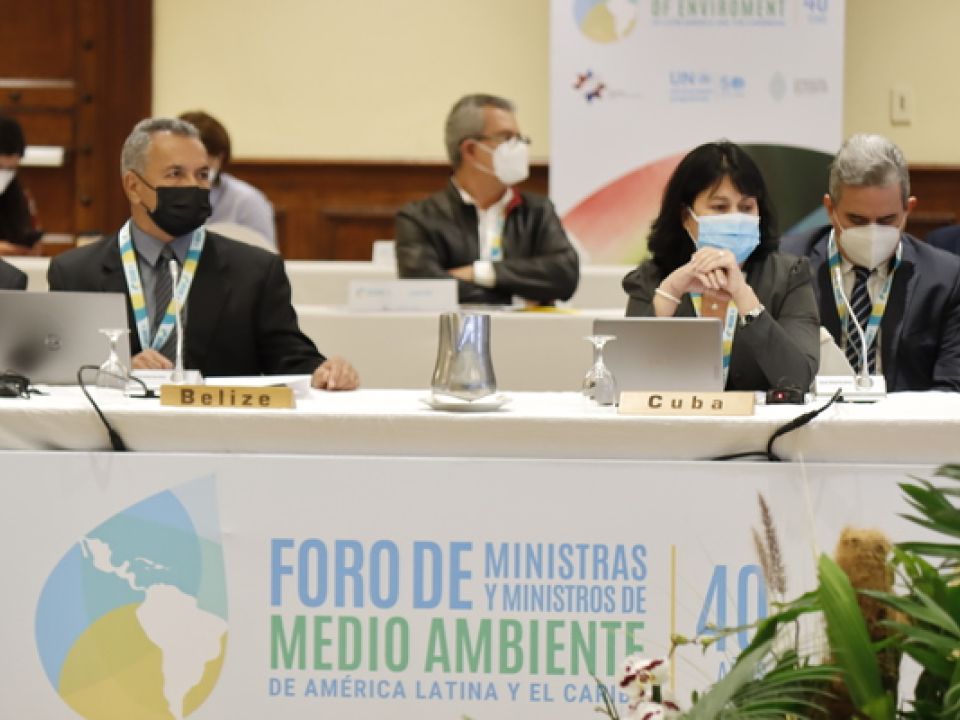 Foro Medio Ambiente