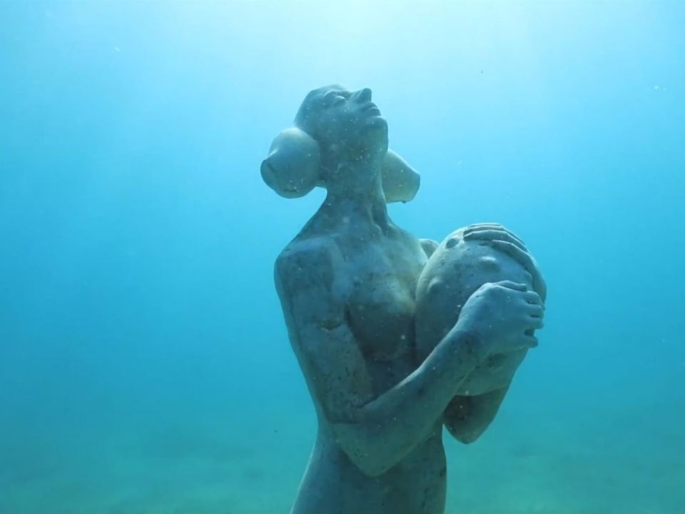 "La semilla y el mar"