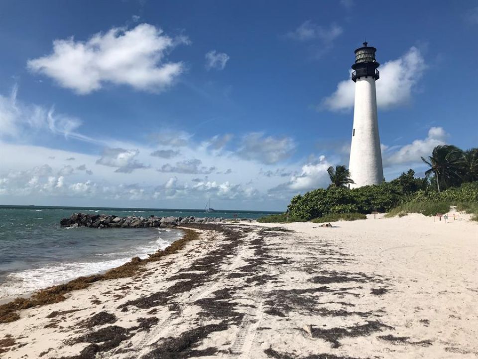 Playa de Florida