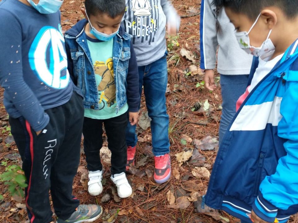 Educación ambiental. Chiapas