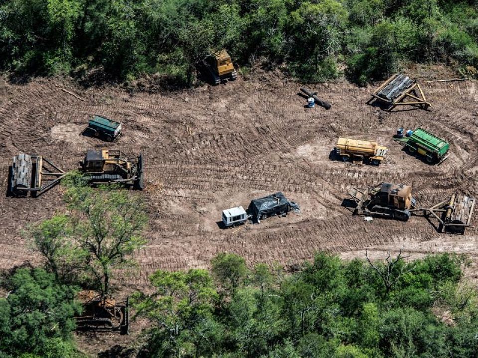 Deforestación en Argentina