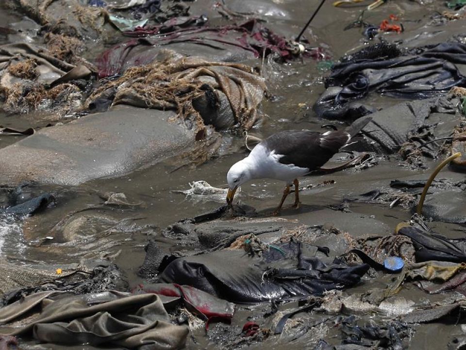 Contaminación en el playa