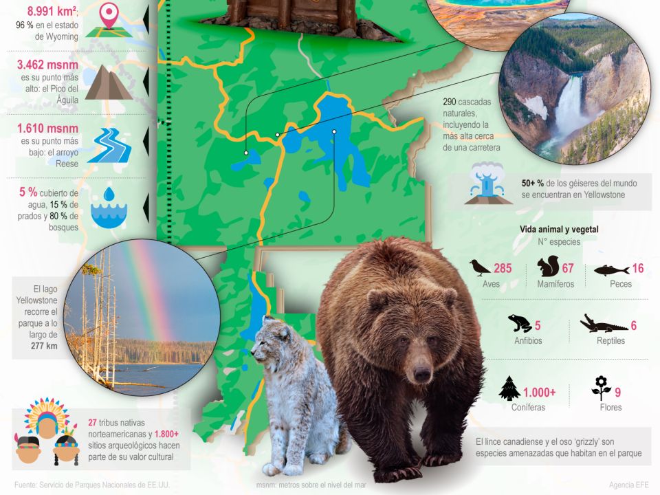 Infografía. Yellowstone