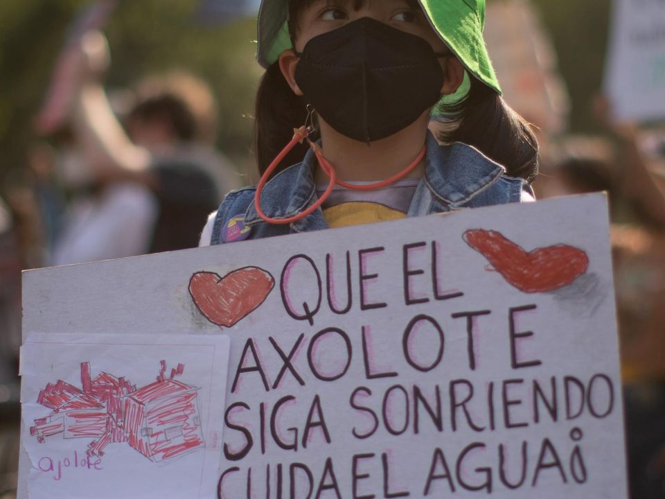 Ambientalistas 