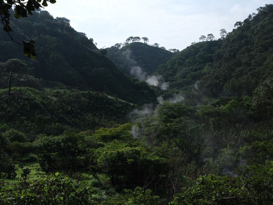 Bosque La Primavera