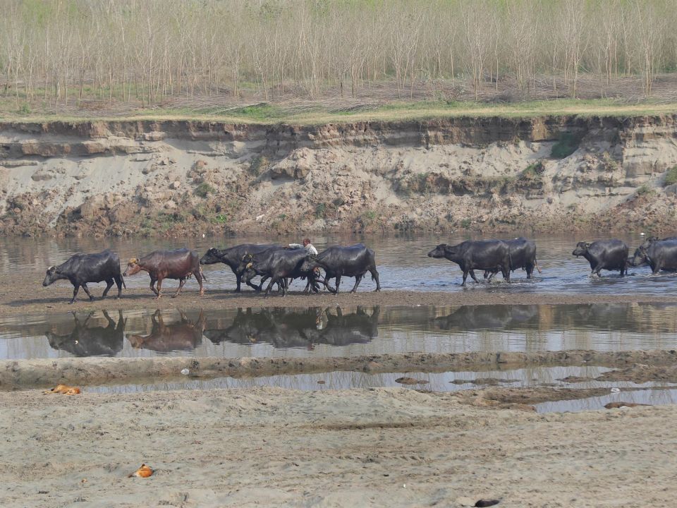 Río en Pakistán