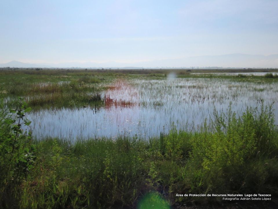 Lago de Texcoco