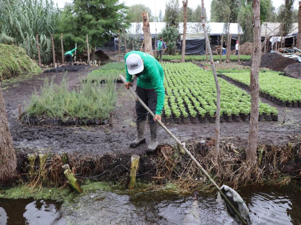 Xochimilco Sedema