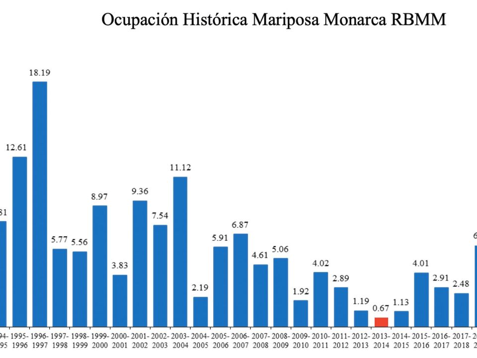 Gráfico