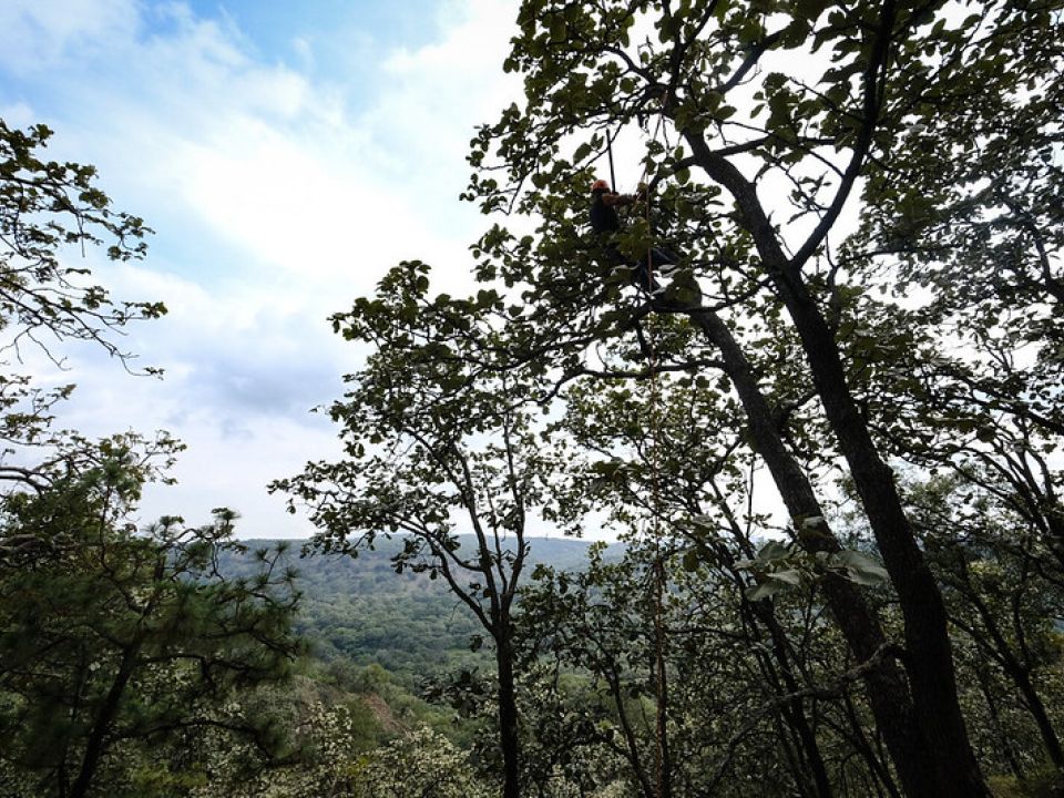 Bosque la Primavera