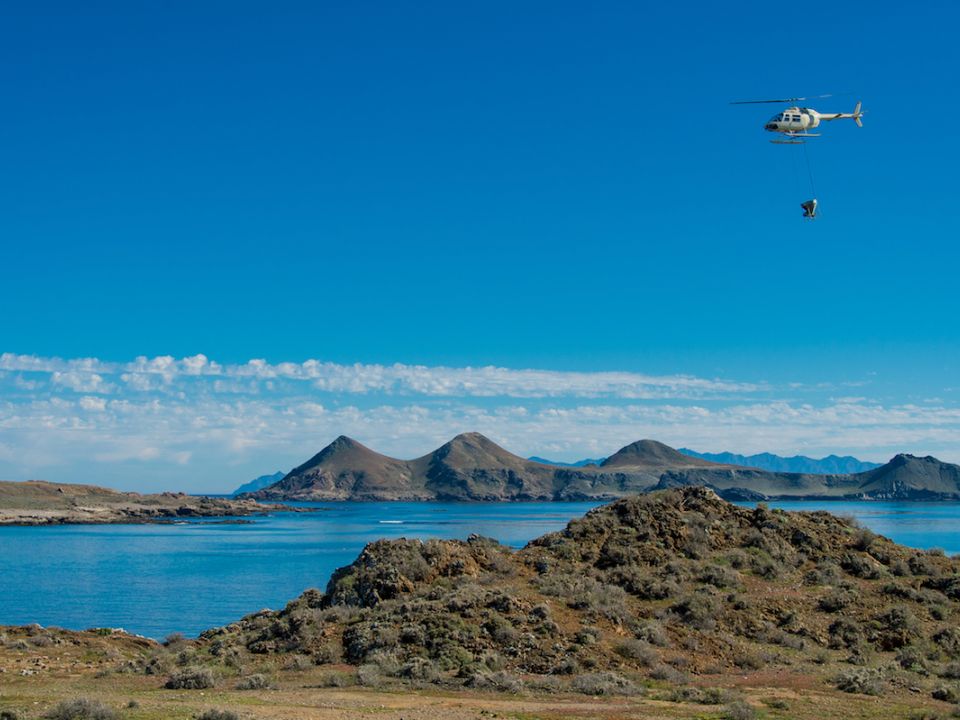 Isla San Benito 