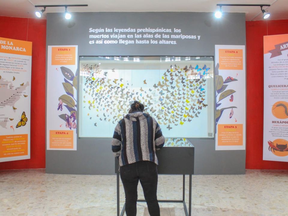 Museo de Ciencias Naturales 