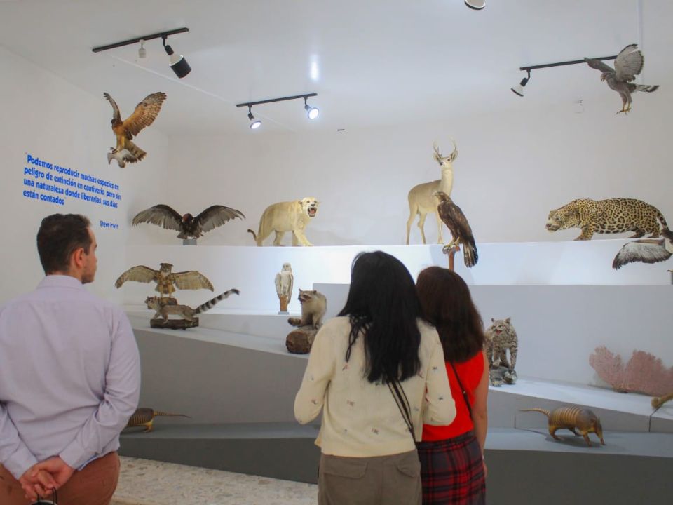 Museo de Ciencias Naturales 