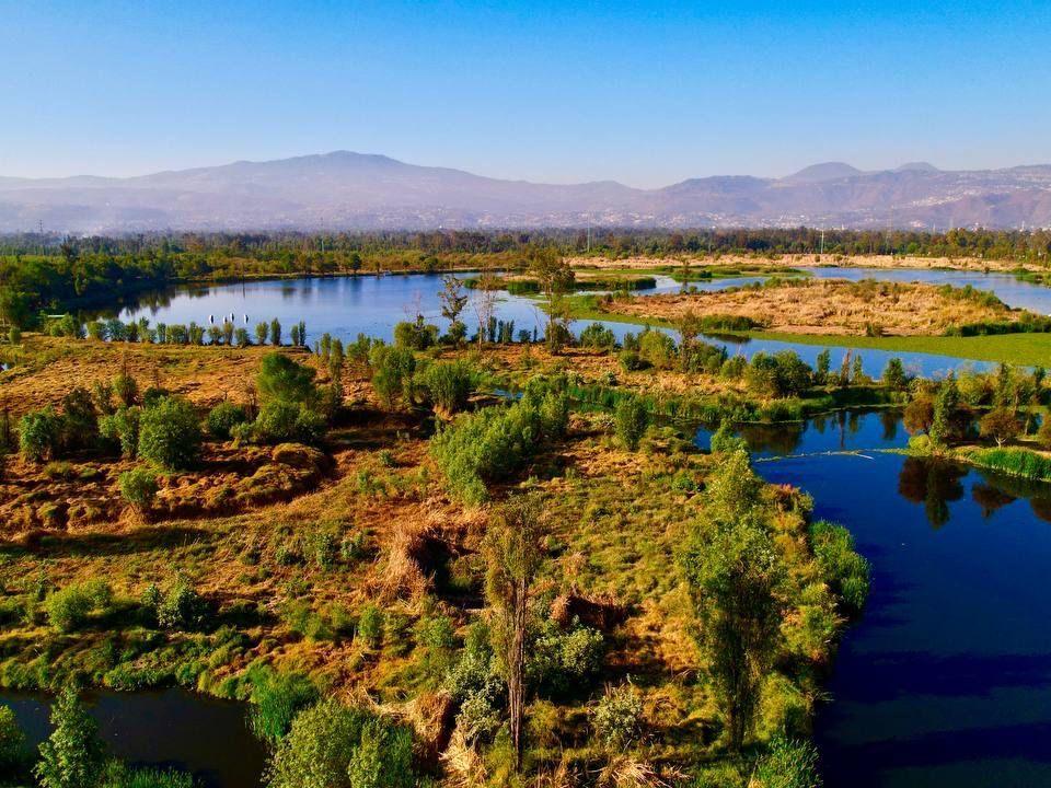 Xochimilco