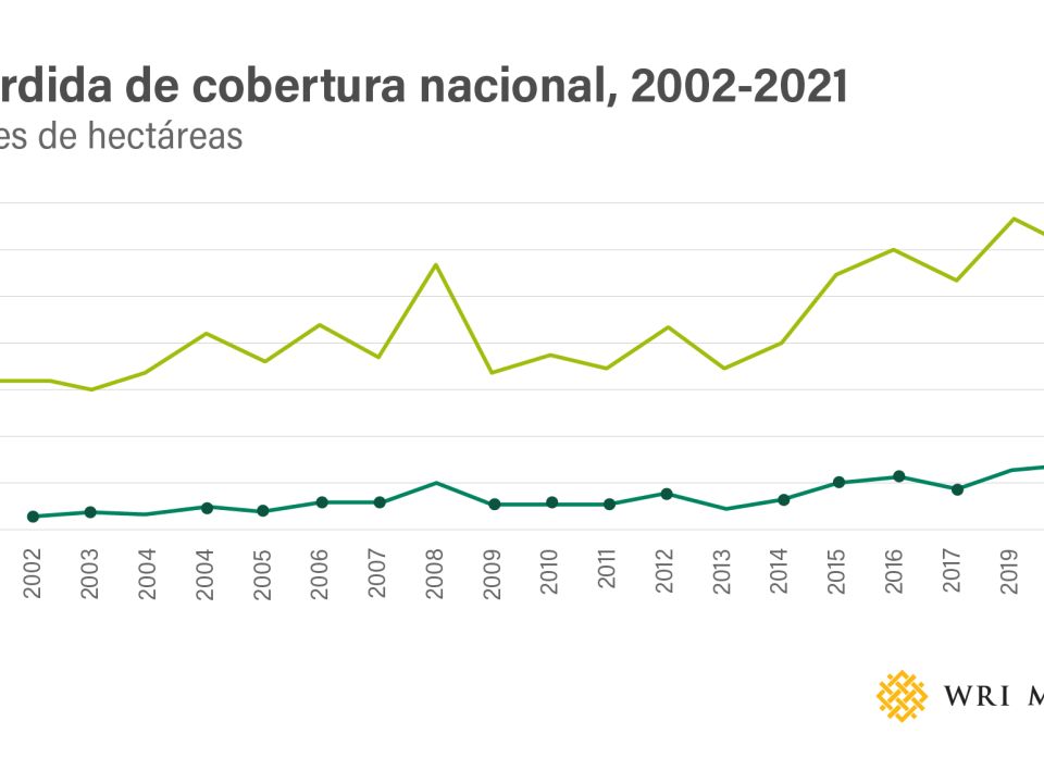 Pérdida de bosques en México