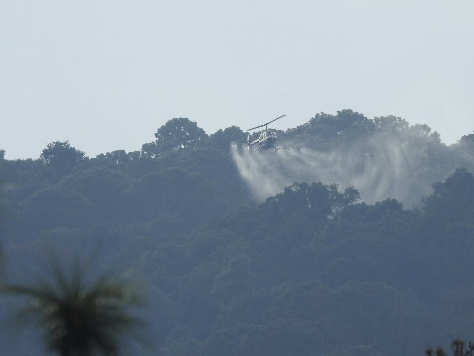 Reserva de la Biosfera Sierra de Manantlán