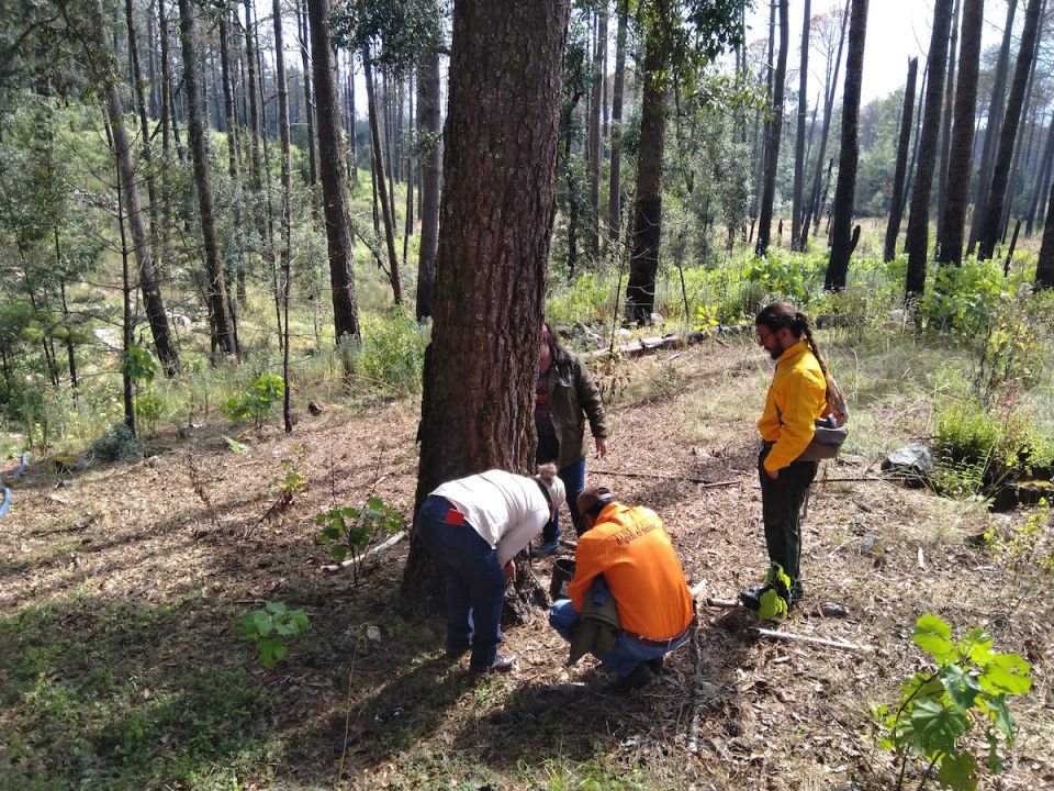 Reserva de la Biosfera Sierra de Manantlán