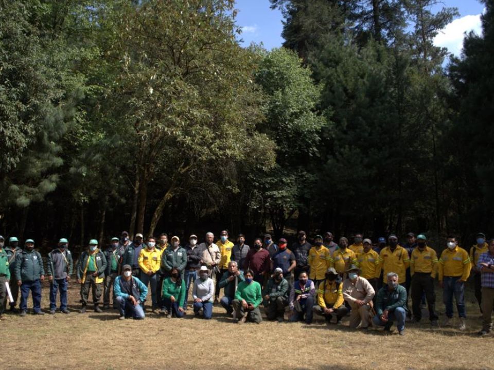 Reforestación en suelo de conservación 