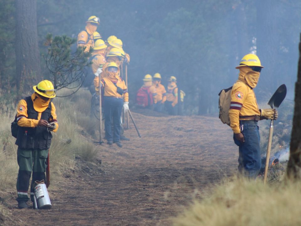 Combatientes de incendios forestales
