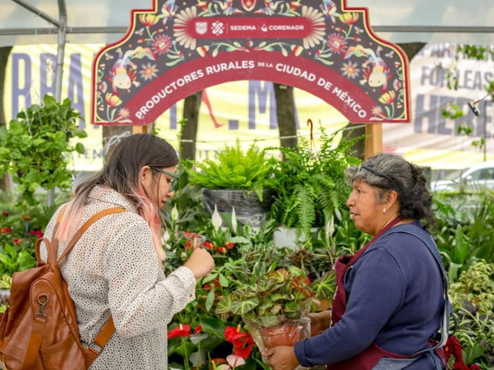 Festival de las Flores de Verano en la CDMX