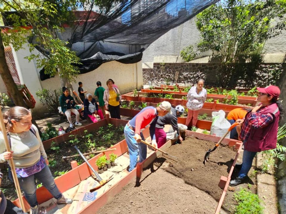 Huerto urbano