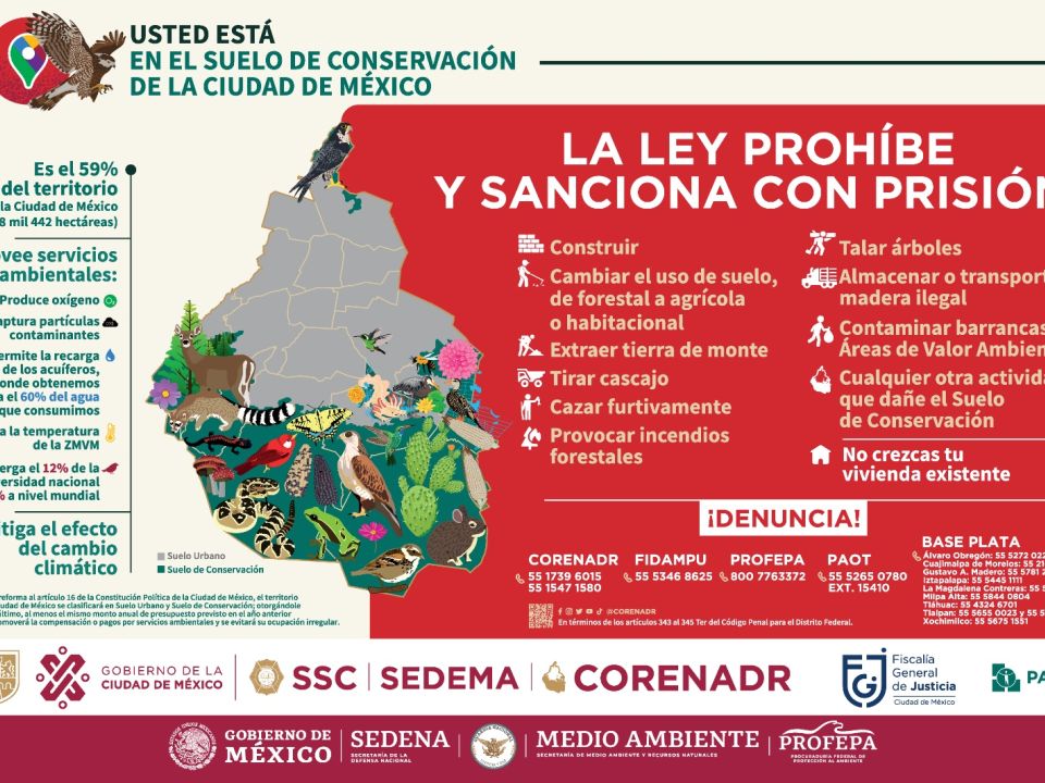 Infografía del suelo de conservación