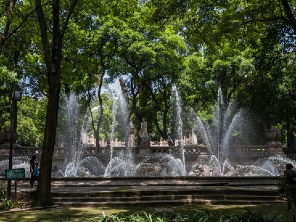 Bosque de Chapultepec 