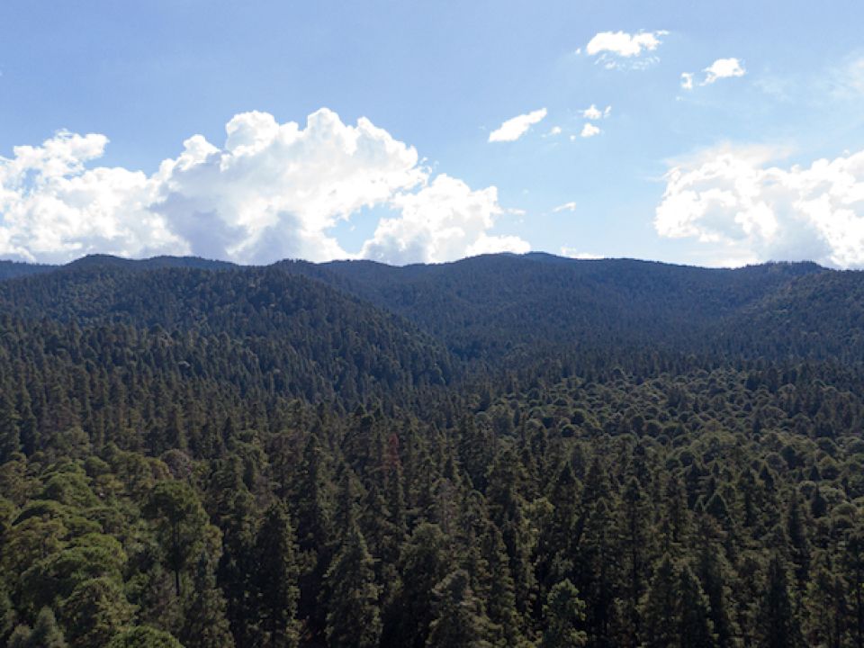 Parque Ejidal San Nicolás Totolapan 