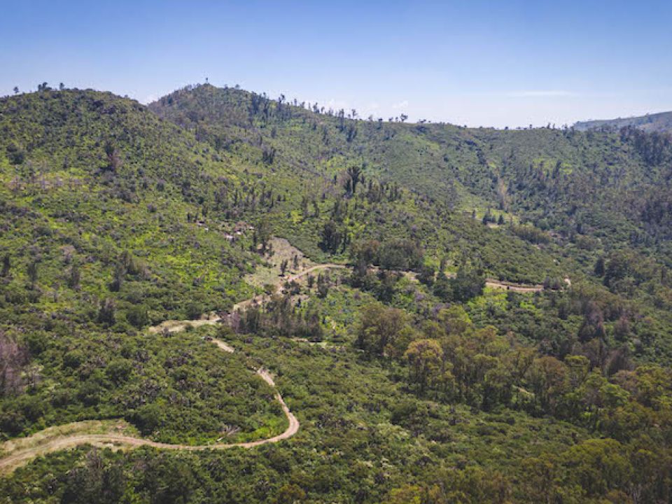 Sierra de Guadalupe