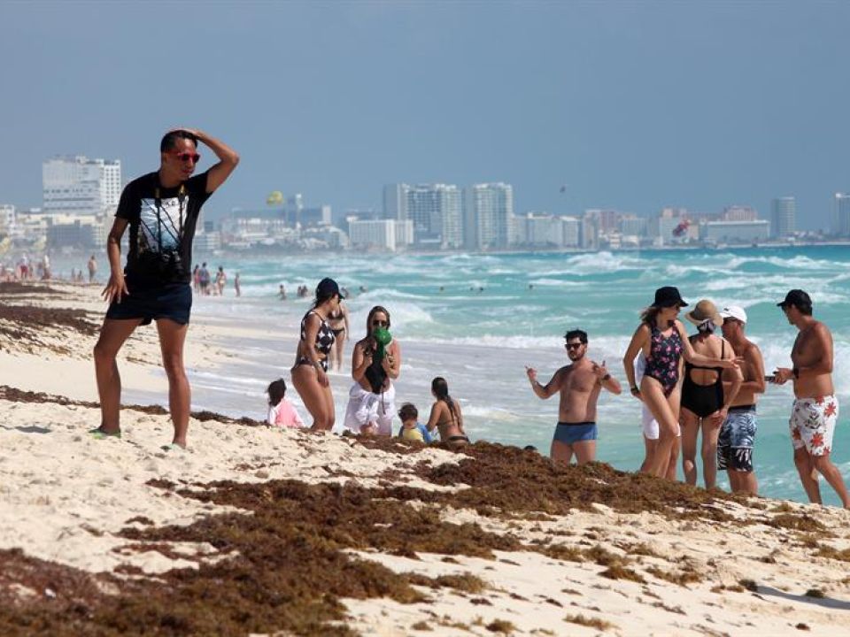 Sargazo en el Caribe